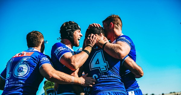 Did the Bulldogs narrowly defeat the Dolphins in a thrilling match?