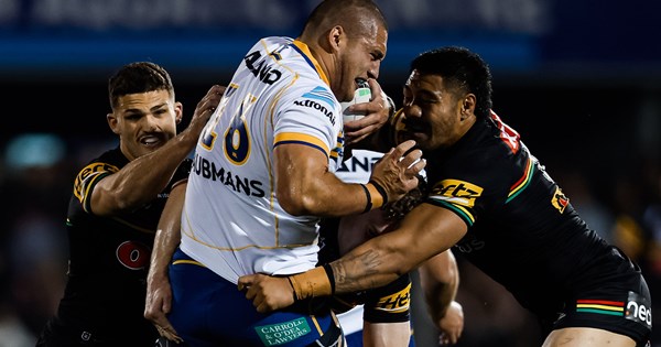 Electric Eels zap Panthers, leaving them in despair