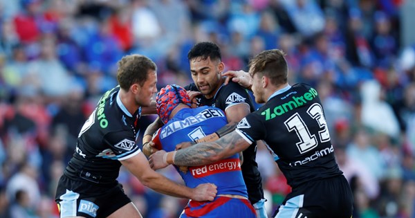 Sharks sink to Knights in Newcastle