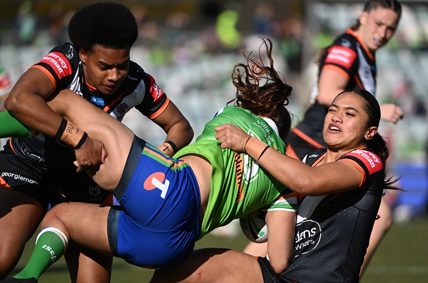 Roosters vs Tigers: A Feathered Battle at Allianz