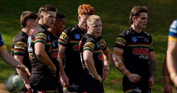 The Panthers' Flegg fortunes fizzle, suffer third-straight loss