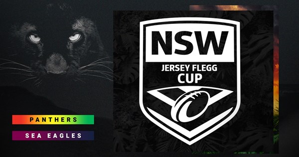 Who will be playing for Panthers in Round 24?