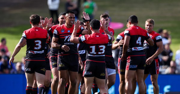 Bears Roar Their Way to NSW Cup Grand Final