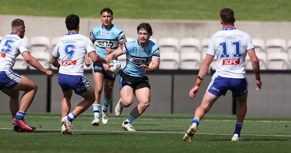 Flegg Sharks feel the Bulldogs bite