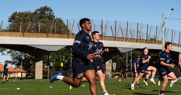 Roosters' Youthful Flock: A Ball of Promise?