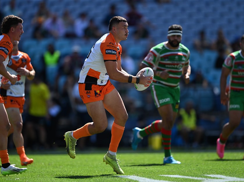 Tigers' Roar Drowns, South Sydney Emerges Victorious