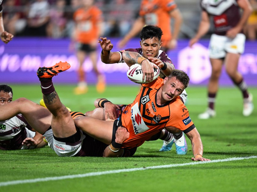 Tigers Roar for NRL Glory, Can Storm Lend a Paw?