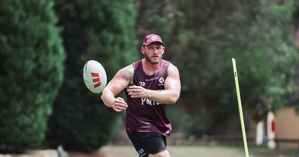 Sea Eagles Sore Wings: Who Will Soar Next?