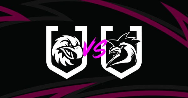 Feathered foes face off in Round 2 showdown