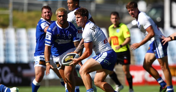 Bulldogs fall to Jets in gritty NSW Cup clash