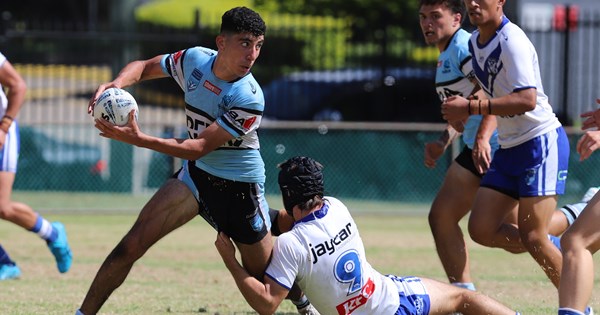 Junior Sharks defeated by Dogs