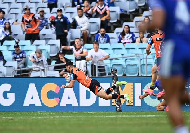 Beware of Bulldogs: Tigers mauled in NRL clash