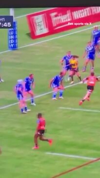 Canine chaos as Bulldog gets rough with ref