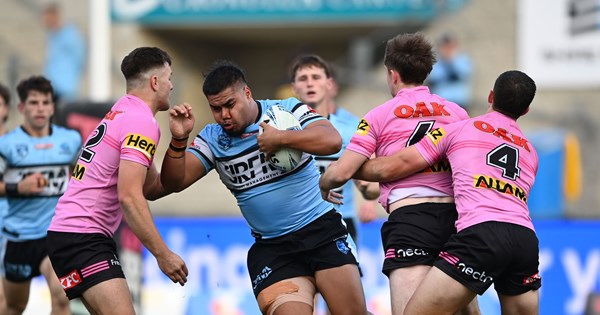 Panthers Claw Their Way to Victory Over Sharks