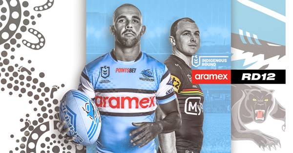 NRL Match Preview: Round 12 v Panthers
