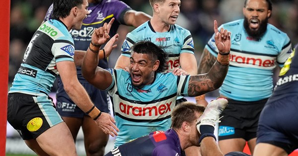 Sharks swim upstream to end dry spell in Melbourne