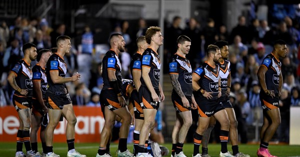 Sharks swallow Tigers in try-scoring feeding frenzy