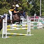 Ellie Johnston indulging her passion for show jumping.