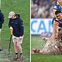 ‘That is diabolical’: Allianz Stadium savaged over farcical NRL scenes