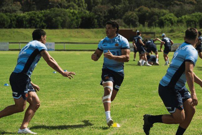 Feline footballer joins the rugby union ranks