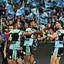 Brave Sharks bow out against Panthers