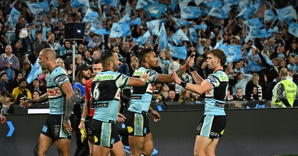 Brave Sharks bow out against Panthers