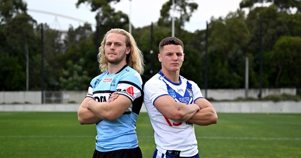 Young Sharks set to take a bite