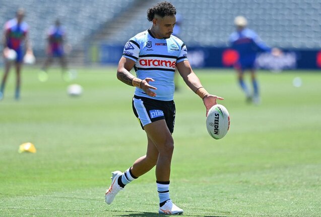 Sharks secure rising stars for 2026 wave