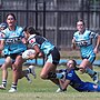 Two wins for young Sharks in home triple-header