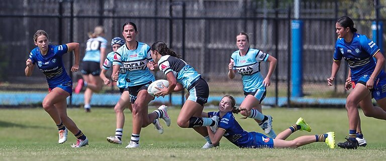 Two wins for young Sharks in home triple-header