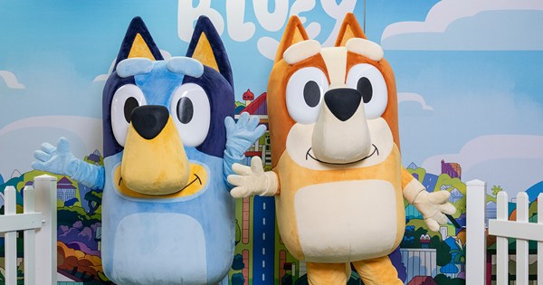 Bluey Joins The Broncos For Family Fun Gameday