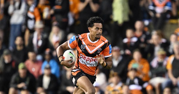 'Love what I'm doing': Bula relishing Tigers rise