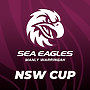 Match Report: NSW Cup Round 12 vs Eels