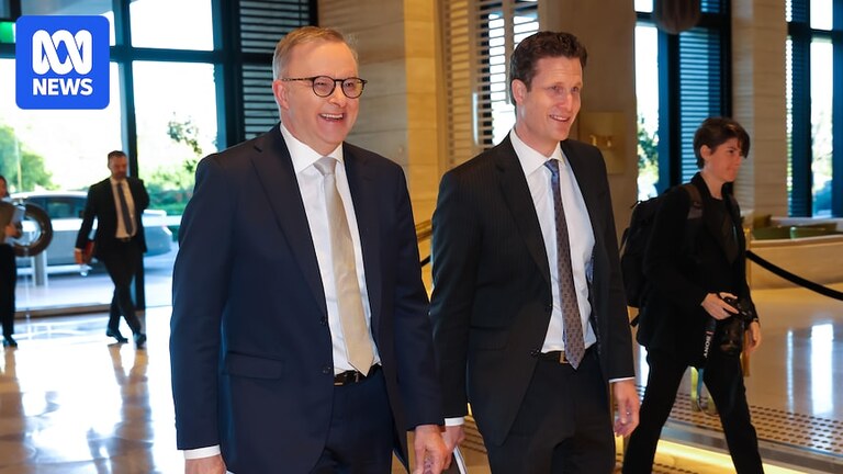Perth Bears hire former West Australian editor Anthony De Ceglie as inaugural CEO