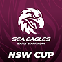 Team List: NSW Cup Round 10 vs Roosters