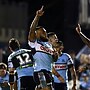 Sharks rise above adversity to sink Storm