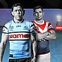 NRL Match Preview: Round 12 v Roosters