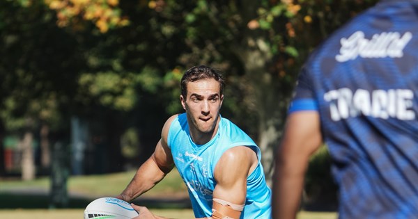 Feeder Report: Round 10 and Round 12