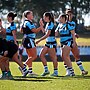 Reinvigorated Carter loving new home at the Sharks