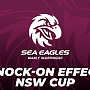 Team List: NSW Cup Round 16 vs Rabbitohs