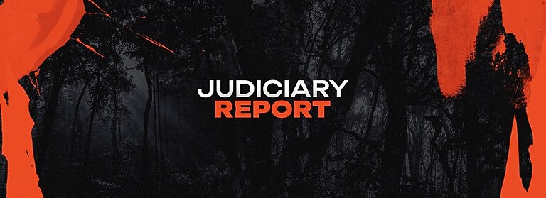 Judiciary Report: NRL Round 17 vs Sea Eagles
