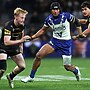 Panthers are back in black, while too many cooks are spoiling the Bulldogs broth