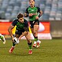 NSW Cup & Jersey Flegg: Round 15 Preview