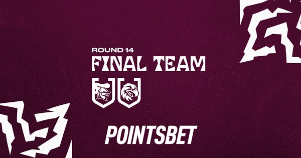 Final Team: Round 14 vs Knights