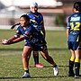 Record attendance at Storm's Female Footy Festival