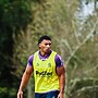 Feeder Report: Round 11 and Round 13