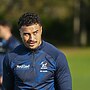 Feeder Report: Round 12 and Round 14