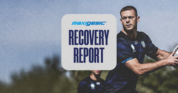 Maxigesic Recovery Report: Berry out for up to six weeks