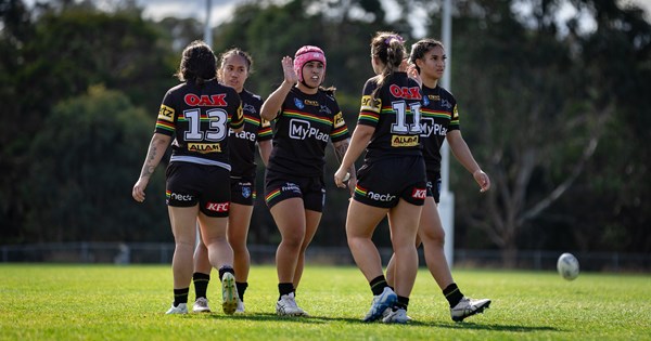 Gallant Panthers fall to ladder-leading Steelers