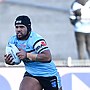 Flegg Sharks go down to 12-man Roosters
